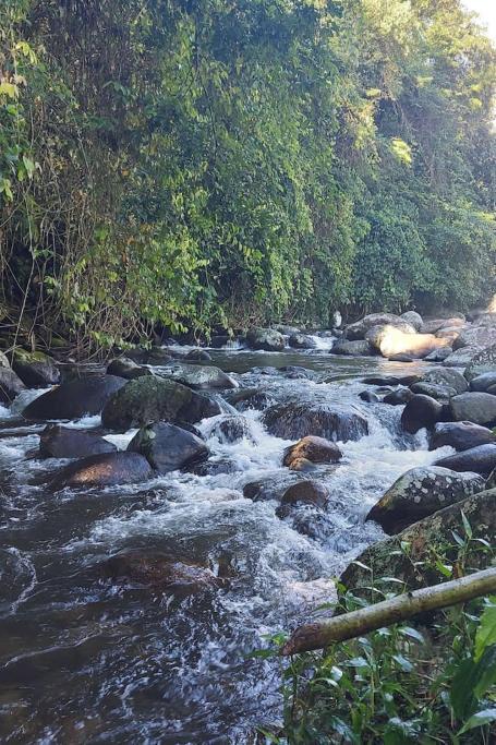 Cantinho Na Natureza Araquari Dış mekan fotoğraf